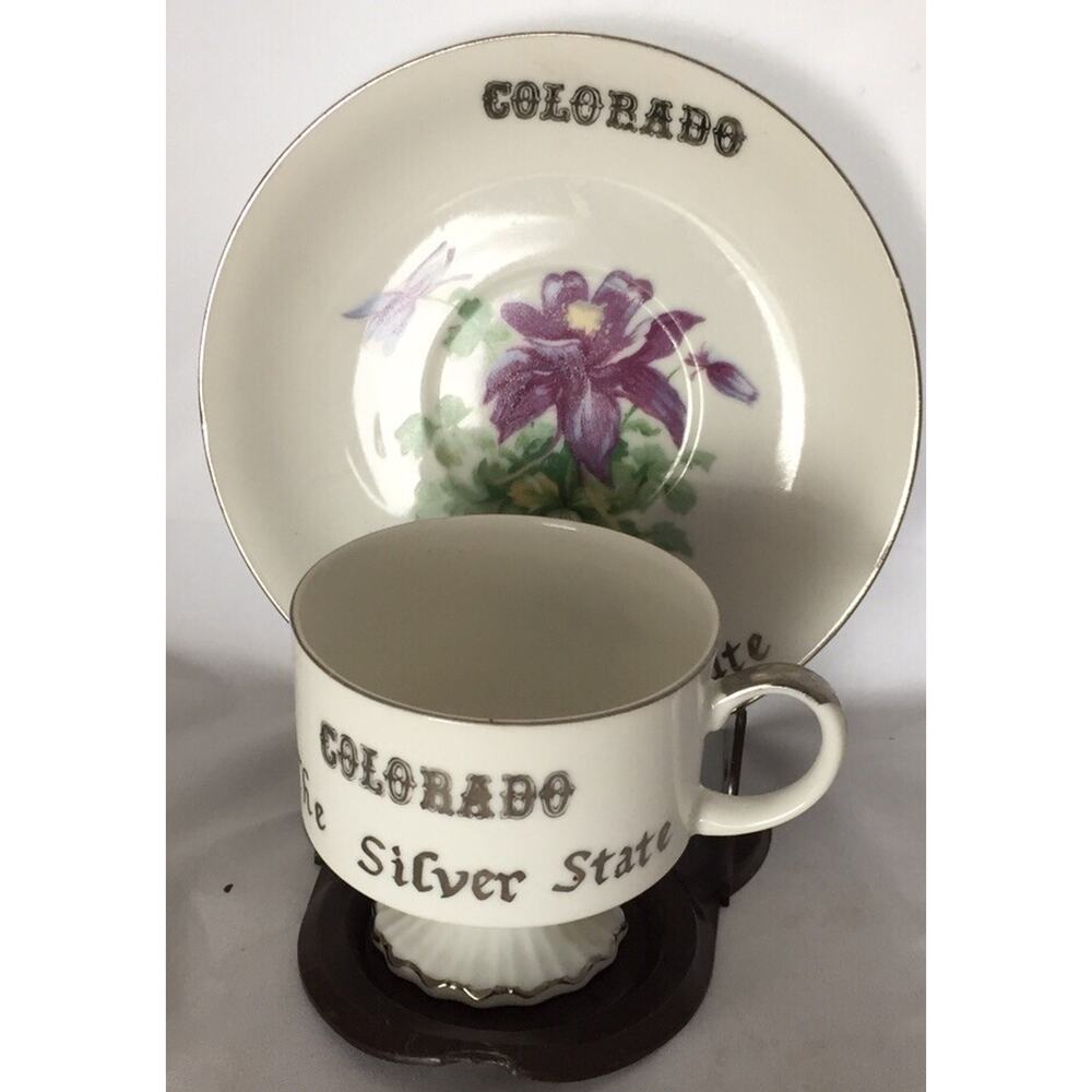 Vintage Norcrest‎ Colorado Pedestal Coffee Cup and Saucer Silver State Collector